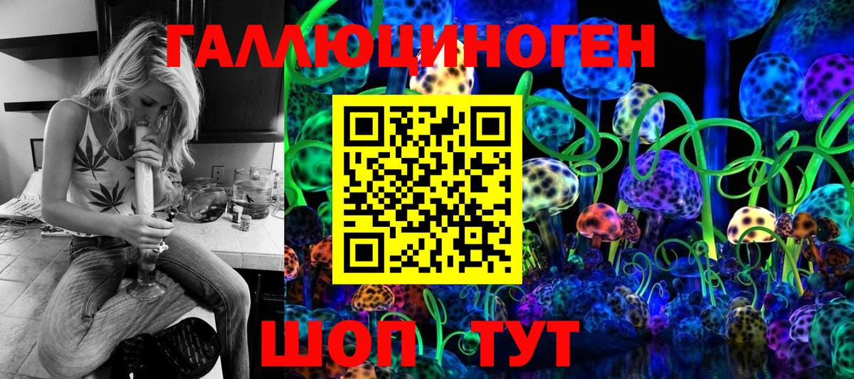 Галлюциногенные грибы Psilocybe Моздок