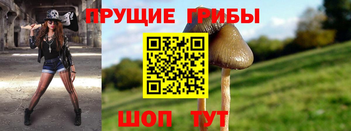 Псилоцибиновые грибы Psilocybine cubensis  Вход с VPN  Моздок 