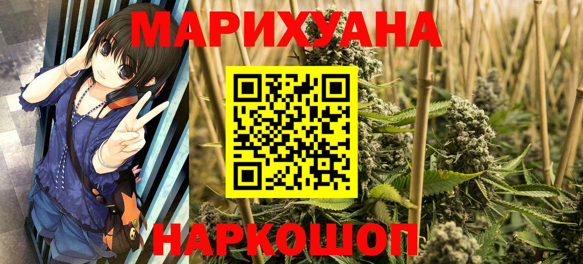Бошки марихуана конопля Моздок